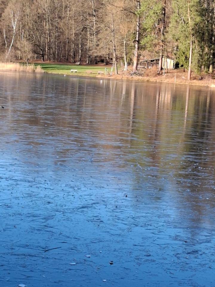 Hochwald Appartement Bad Sachsa Exteriör bild