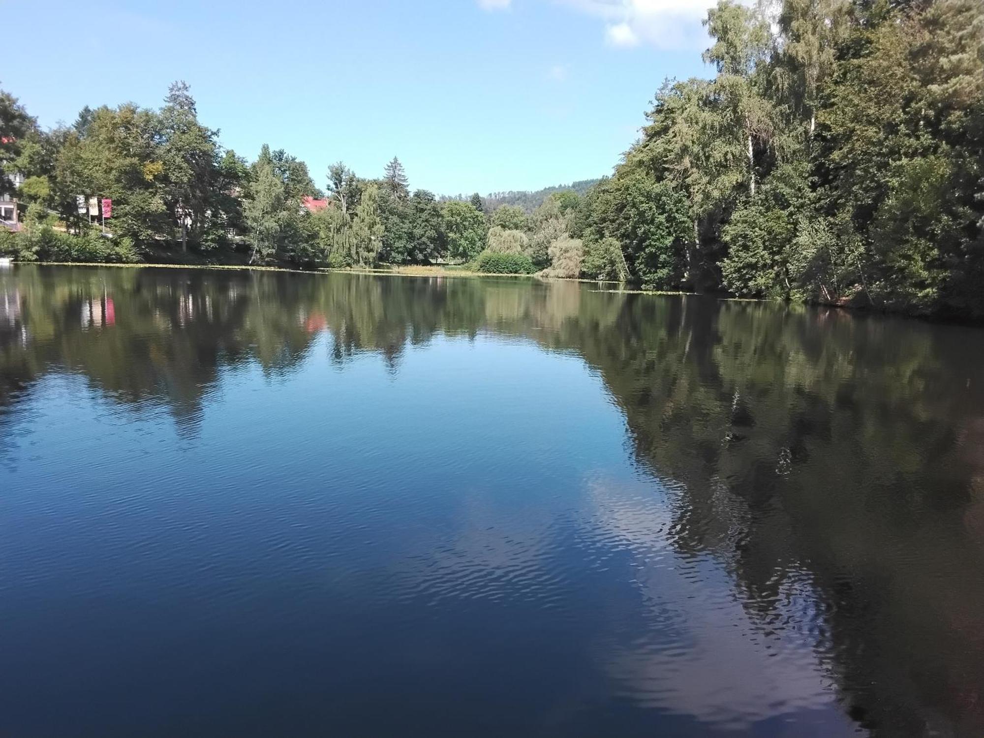 Hochwald Appartement Bad Sachsa Exteriör bild