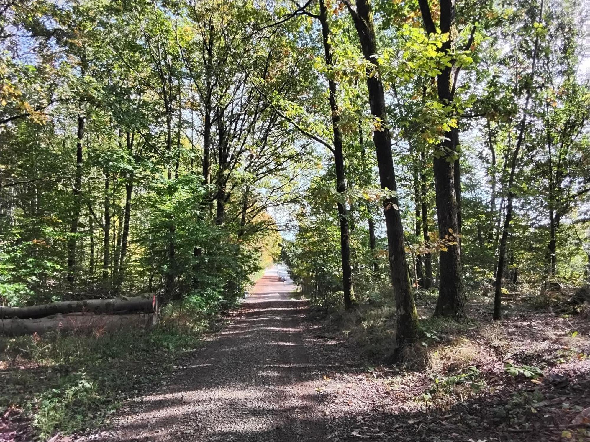 Hochwald Appartement Bad Sachsa Exteriör bild