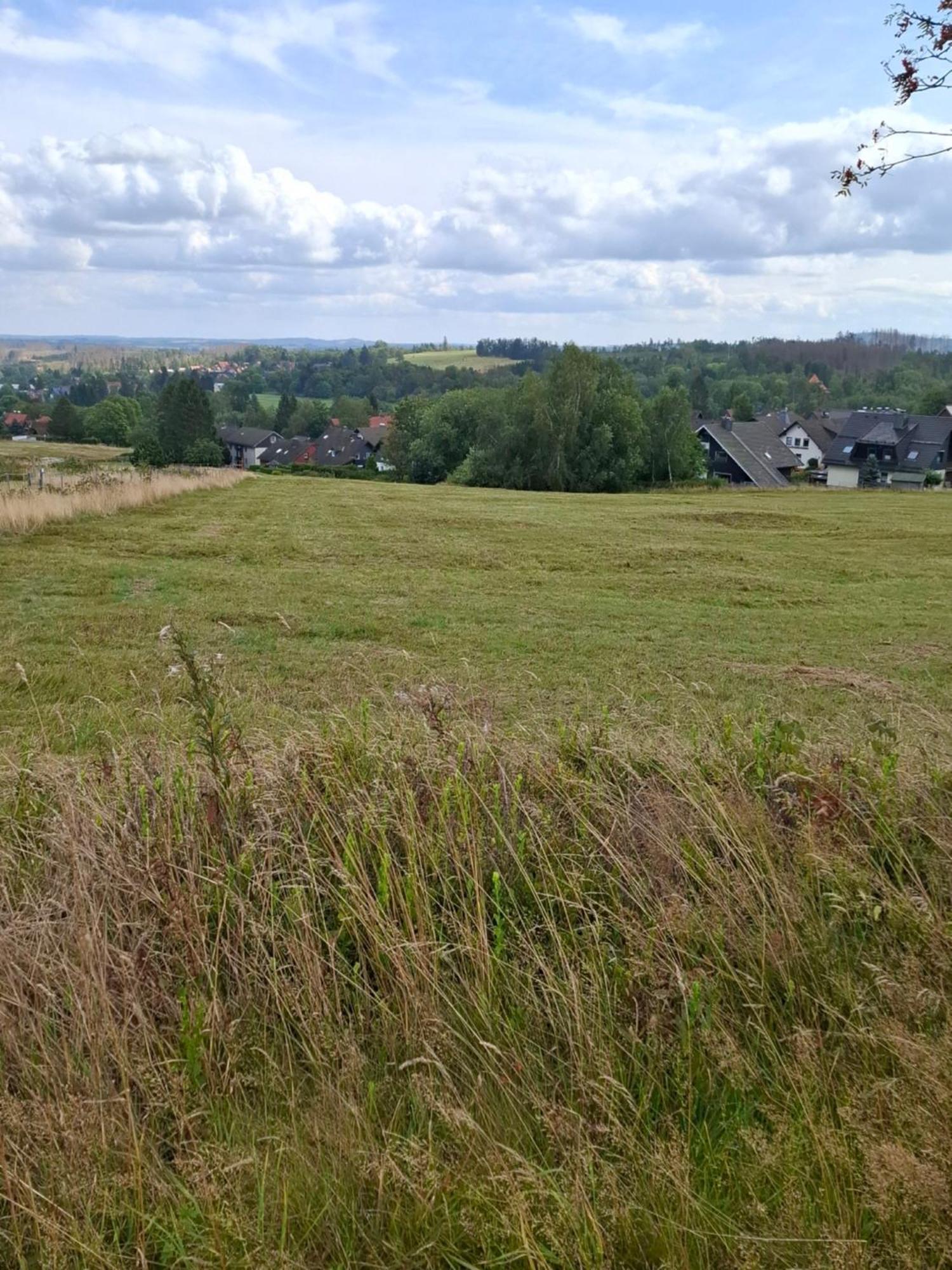 Hochwald Appartement Bad Sachsa Exteriör bild