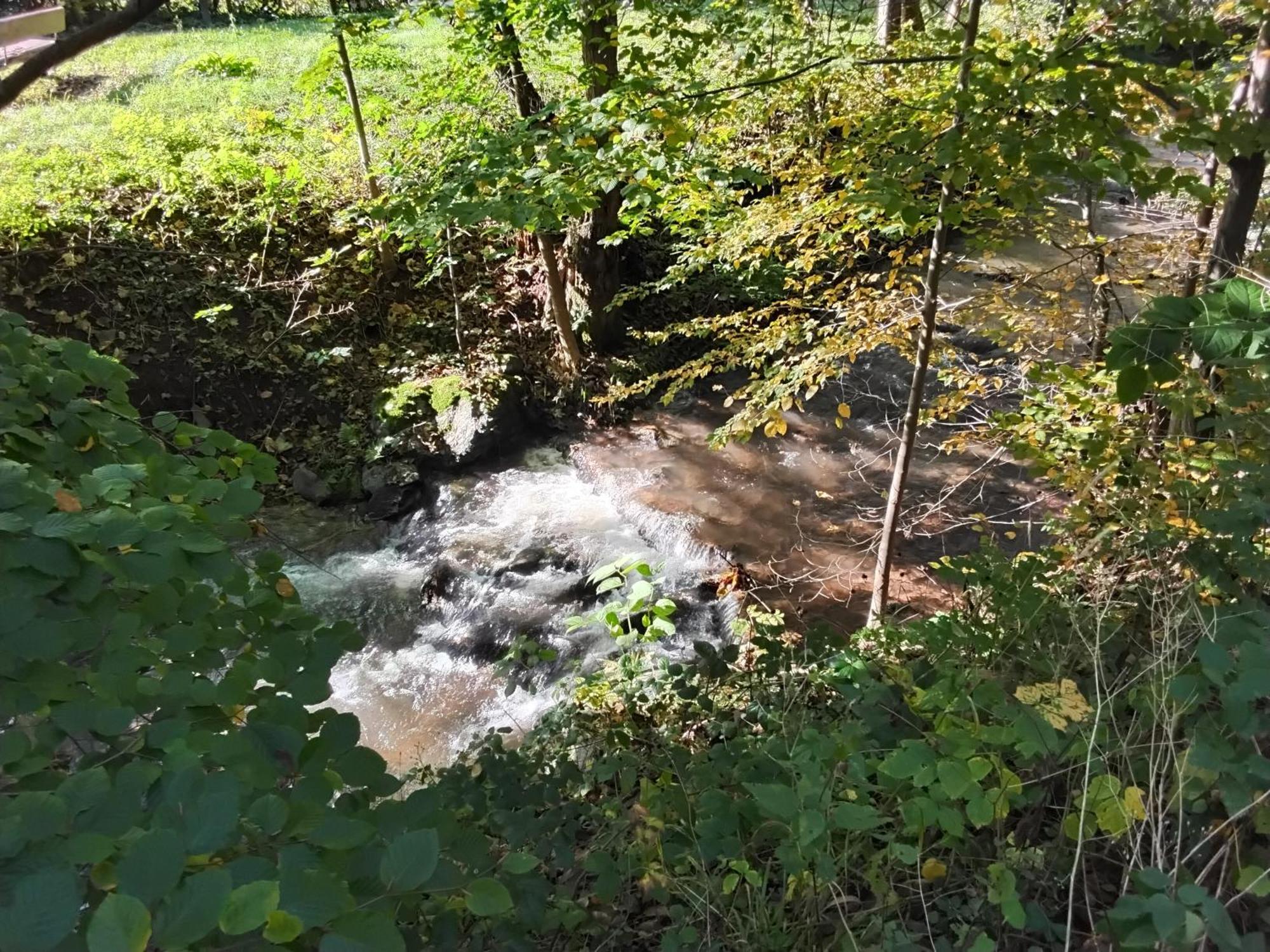 Hochwald Appartement Bad Sachsa Exteriör bild